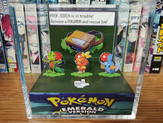 Important Decisions (Emerald - Treecko, Torchic, Mudkip) - Pixel Package