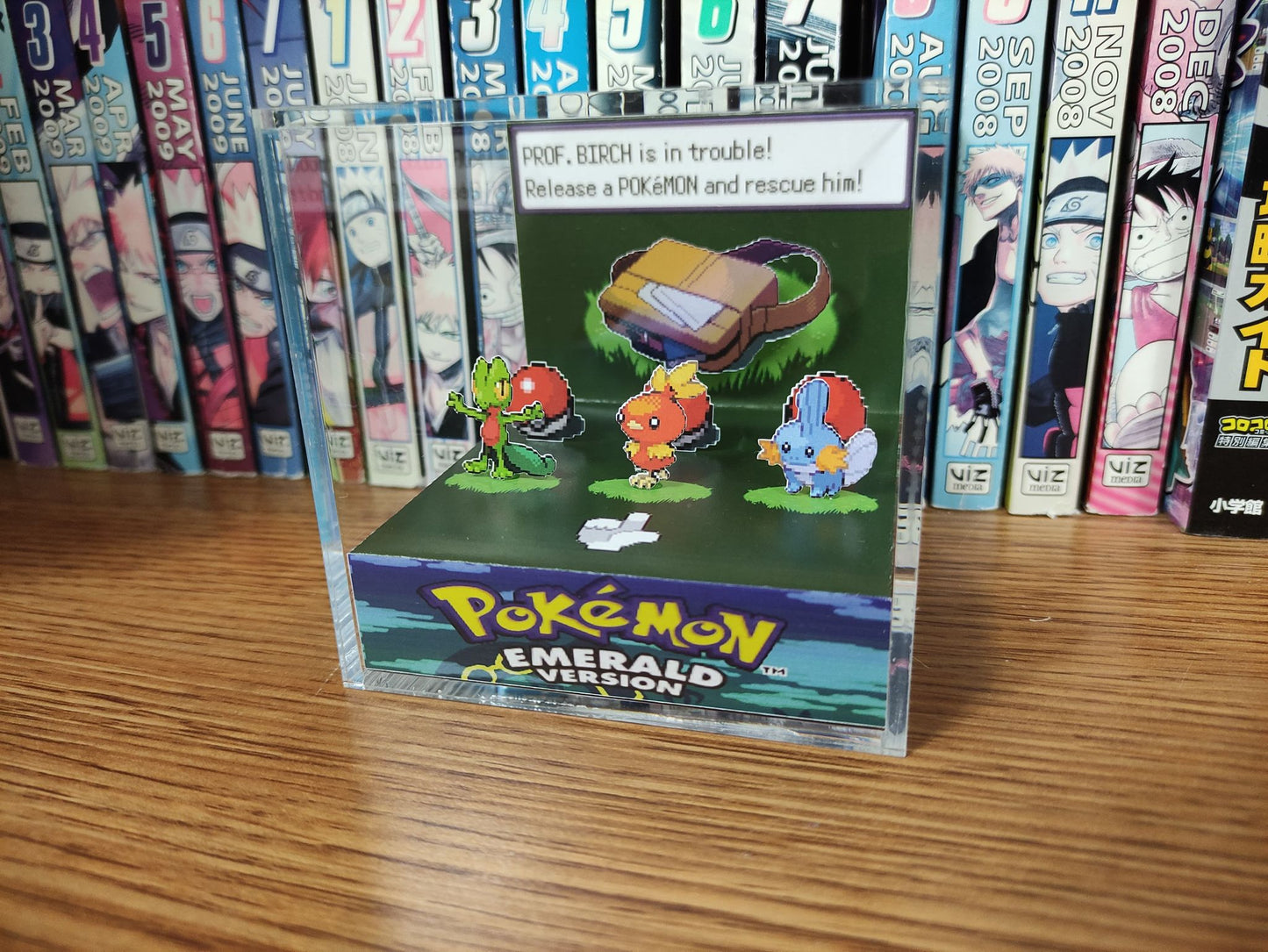 Important Decisions (Emerald - Treecko, Torchic, Mudkip) - Pixel Package