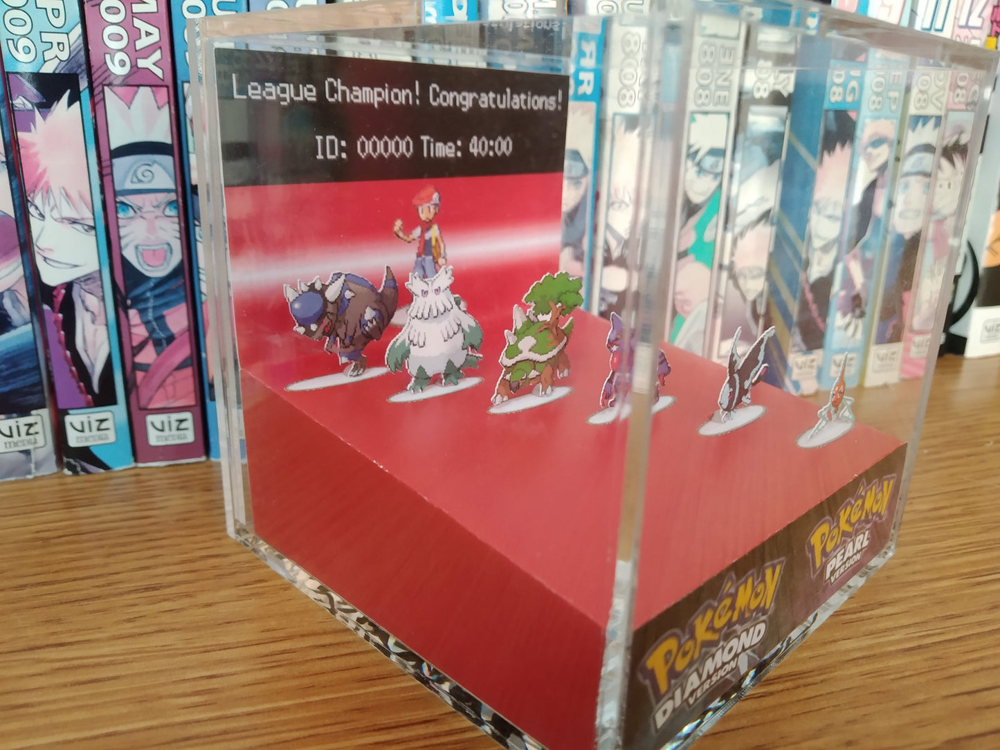 Pokemon Champion Hall of Fame! (Customizable)