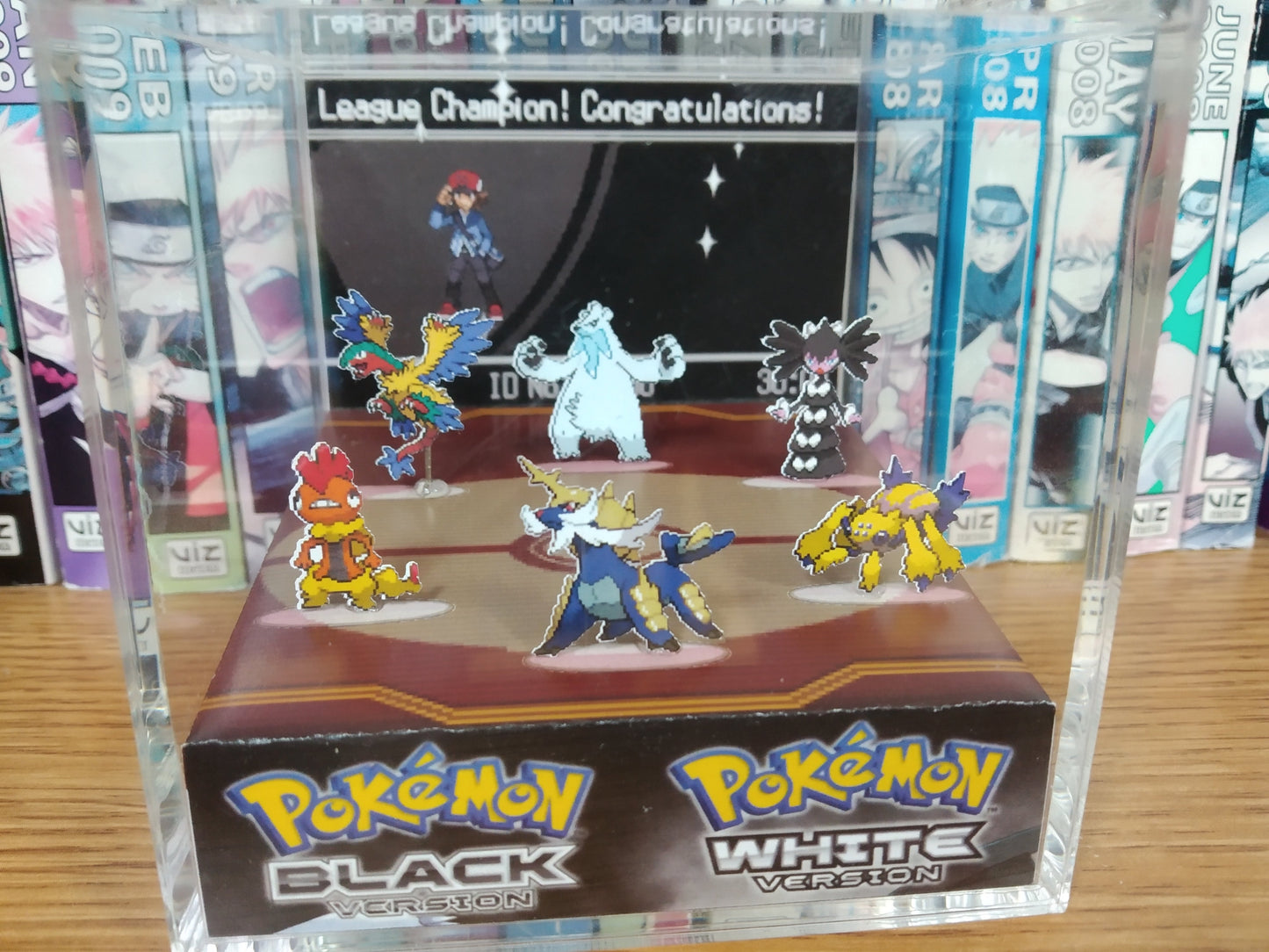 Pokemon Champion Hall of Fame! (Customizable)