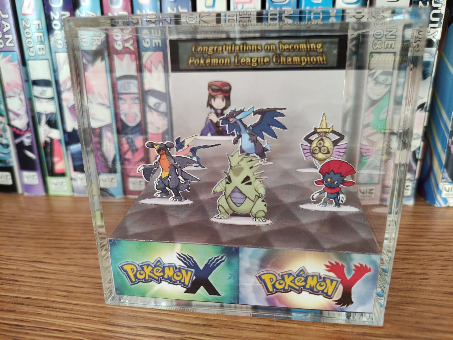 Pokemon Champion Hall of Fame! (Customizable)