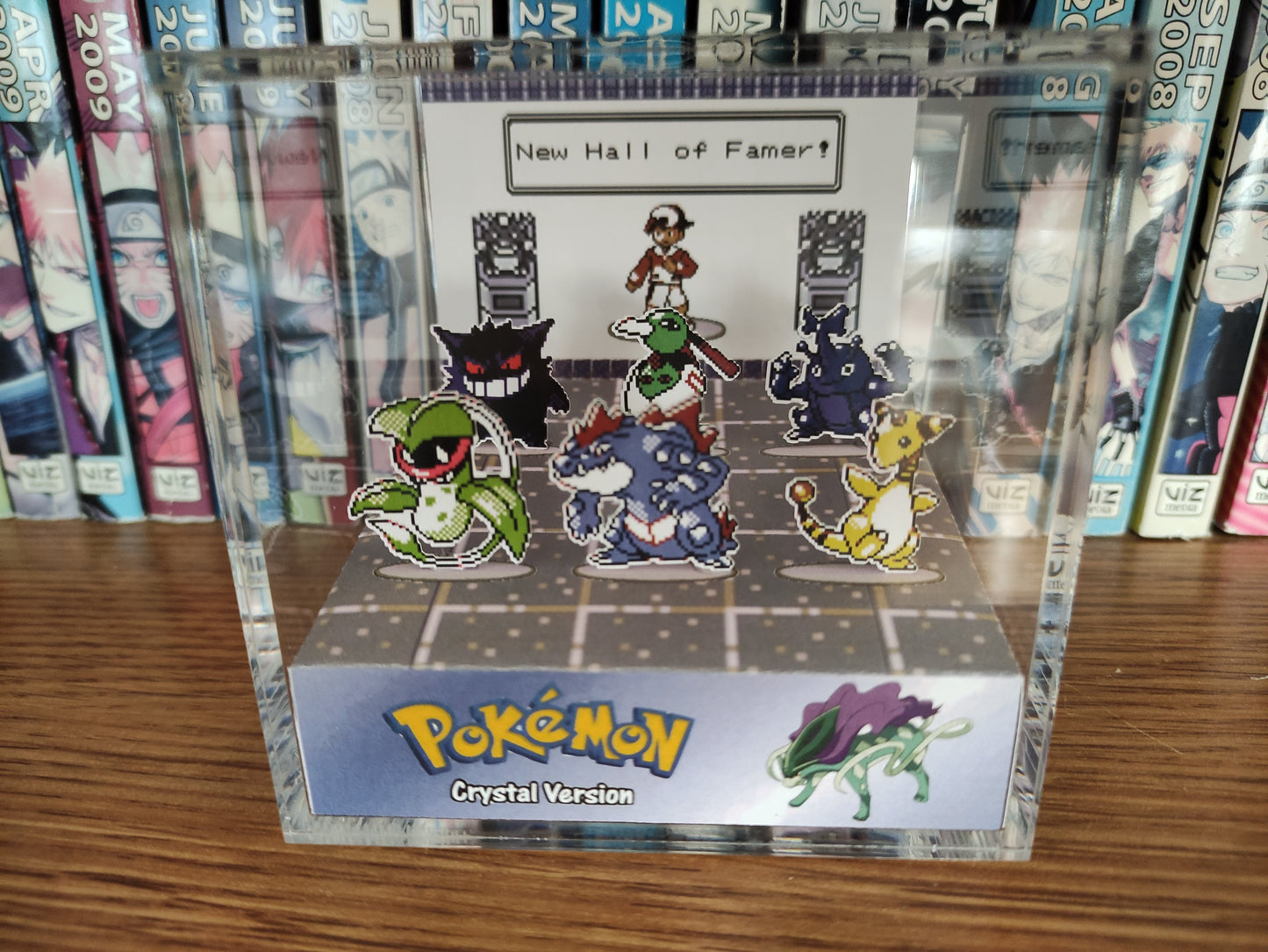 Pokemon Champion Hall of Fame! (Customizable)