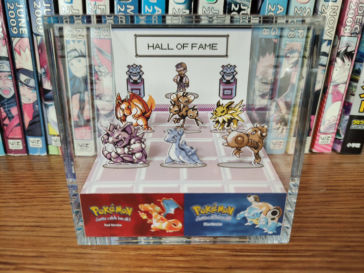 Pokemon Champion Hall of Fame! (Customizable)