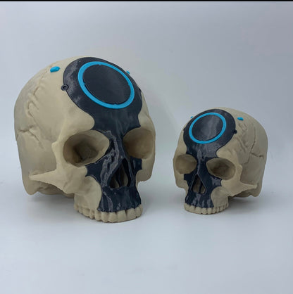Halo-Infinite OddBall Skull