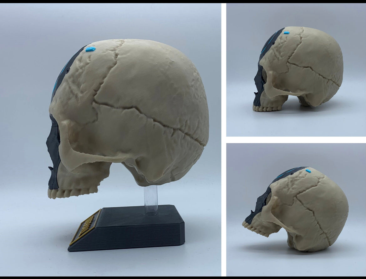 Halo-Infinite OddBall Skull